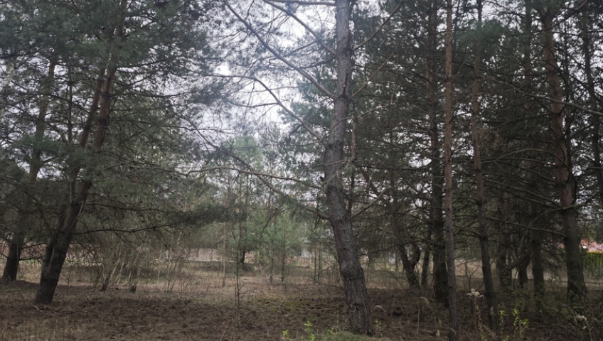 Działka Sprzedaż Wólka Kryształowa